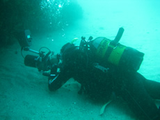 PADI Digital Underwater Photography Specialty